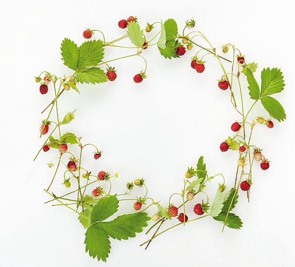 kranz erdbeeren